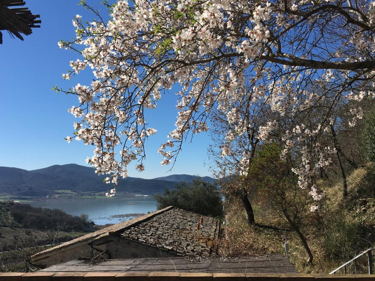 Podere Monte Petreto San Savino  Bagian luar foto